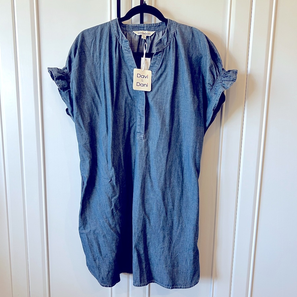 Davi and Dani Denim Dress